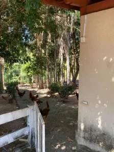 Fazenda/Sítio com 3 Quartos à venda, 200m² no , Niquelândia