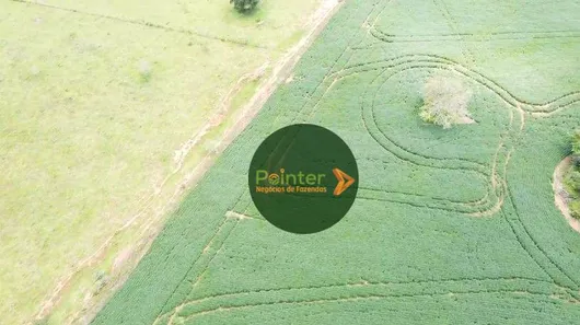 Fazenda/Sítio à venda, 701800m² no , Jaraguá