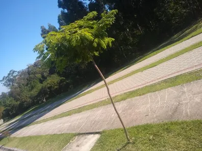 Lote/Terreno à venda, 463m² no Tomazetti, Santa Maria