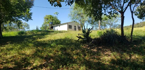 Fazenda/Sítio com 4 Quartos à venda, 550000m² no Padre Bernardo, Padre Bernardo