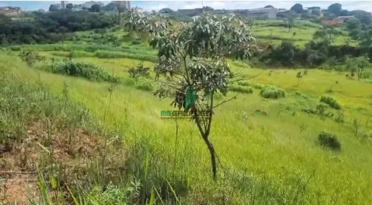 Lote/Terreno para alugar, 5000m² no Cidade Verde, Betim
