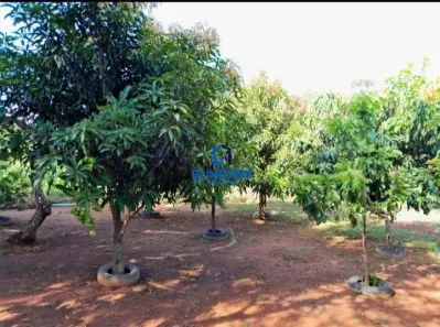 Fazenda/Sítio com 3 Quartos à venda, 160m² no , Leopoldo de Bulhões