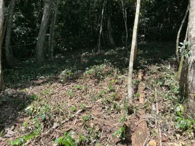 Lote/Terreno à venda, 1800m² no Balneario Praia do Perequê, Guarujá