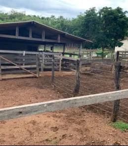 Fazenda/Sítio à venda no Vila São José, Inhumas