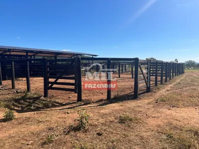 Fazenda/Sítio à venda, 500m² no , Jaraguá