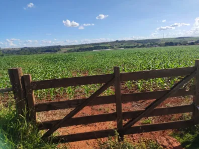 Fazenda/Sítio com 3 Quartos à venda, 280000m² no Taquara, Brasília