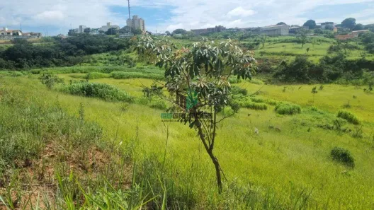 Lote/Terreno para alugar, 5000m² no Cidade Verde, Betim