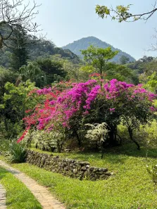 Fazenda/Sítio com 5 Quartos para alugar, 659m² no Aldeia Velha, Silva Jardim