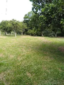 Fazenda/Sítio com 2 Quartos à venda, 5000m² no , Caraá