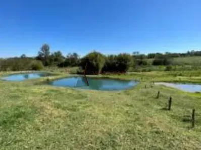 Fazenda/Sítio à venda, 121000m² no Centro, Cruzeiro do Oeste