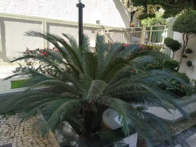 Apartamento com 4 Quartos à venda, 190m² no Lourdes, Belo Horizonte