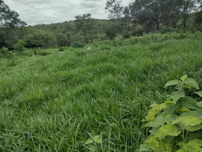 Lote/Terreno à venda, 20000m² no Zona Rural, Fortuna de Minas