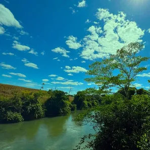 Fazenda/Sítio com 4 Quartos à venda, 145200m² no , Goiás
