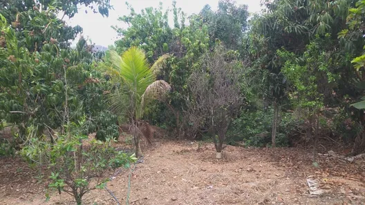 Lote/Terreno à venda, 4681m² no Palmital, Lagoa Santa