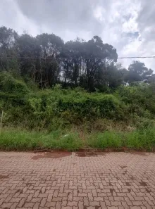 Lote/Terreno à venda, 150m² no Caminho da Eulália, Bento Gonçalves