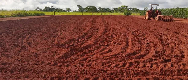 Fazenda/Sítio à venda, 2000m² no Área Rural, Goianira