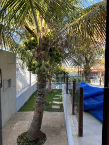 Fazenda/Sítio com 3 Quartos à venda, 1250m² no Centro, Abadiânia