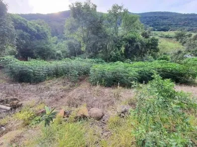 Fazenda/Sítio com 3 Quartos à venda, 90000m² no , Caraá