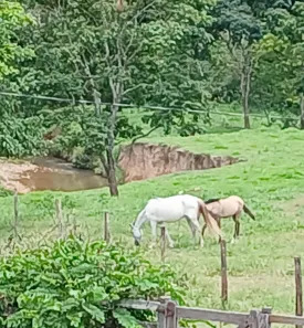 Fazenda/Sítio à venda, 28m² no Brazlândia, Brasília