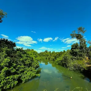 Fazenda/Sítio com 4 Quartos à venda, 145200m² no , Goiás