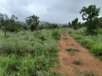 Fazenda/Sítio com 2 Quartos à venda, 280000m² no , Padre Bernardo
