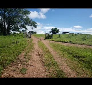 Fazenda/Sítio à venda no , Padre Bernardo