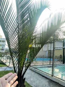 Cobertura com 3 Quartos para alugar, 100m² no Maria Paula, São Gonçalo