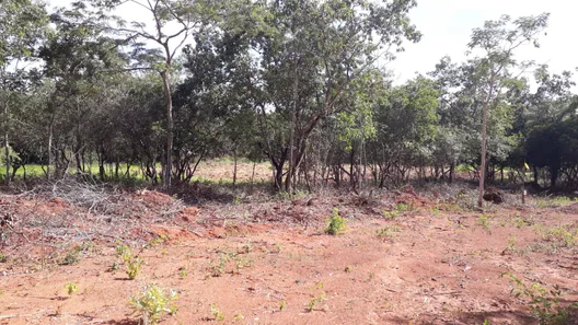 Lote/Terreno à venda, 20000m² no Cordisburgo, Cordisburgo