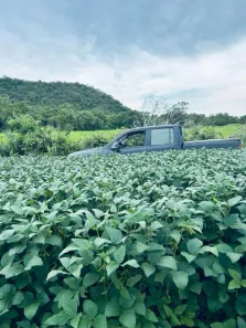 Fazenda/Sítio à venda, 1m² no , Goiatins