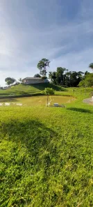 Fazenda/Sítio com 3 Quartos à venda, 18000m² no , Antonina