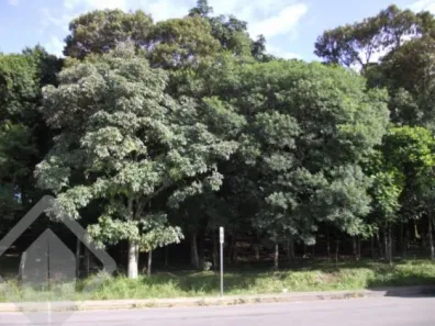 Lote/Terreno à venda, 3121m² no Cruzeiro, Caxias do Sul