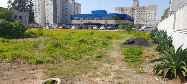 Lote/Terreno à venda, 435m² no Vila Princesa Izabel, Cachoeirinha