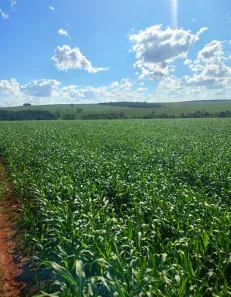 Fazenda/Sítio à venda, 1m² no Zona Rural, Gameleira de Goiás