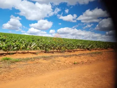 Fazenda/Sítio com 11 Quartos à venda, 29290000m² no Zona Rural, 