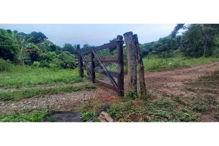 Fazenda/Sítio com 2 Quartos à venda, 30000m² no Área Rural de Brazlândia, Brasília