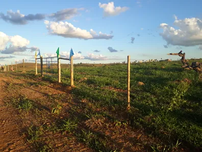 Lote/Terreno à venda, 20000m² no , Araçaí