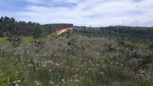 Lote/Terreno à venda, 20000m² no , Paraopeba