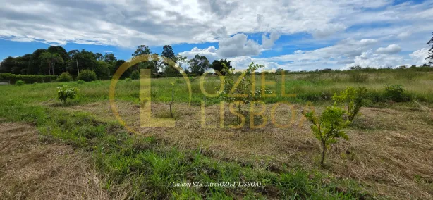 Fazenda/Sítio com 1 Quarto à venda, 20000m² no Brazlândia, Brasília