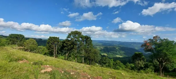 Lote/Terreno à venda, 13m² no Linha Imperial, Nova Petrópolis