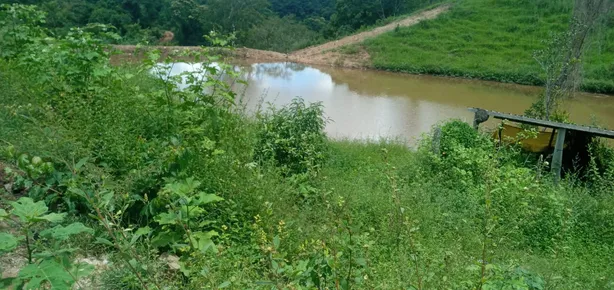 Fazenda/Sítio com 2 Quartos à venda, 4140000m² no , Padre Bernardo