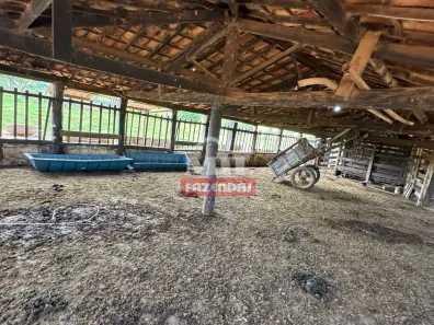 Fazenda/Sítio à venda, 500m² no Vila Santa Terezinha, Inhumas