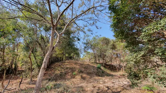 Lote/Terreno à venda, 20000m² no Zona Rural, Fortuna de Minas