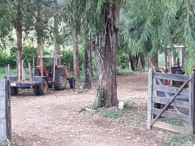 Lote/Terreno à venda, 20000m² no Cordisburgo, Cordisburgo