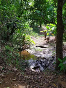 Fazenda/Sítio com 3 Quartos à venda, 150000m² no Comunidade Urbana de Iguape, Guarapari