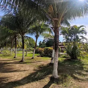 Lote/Terreno à venda, 150m² no Loteamento Bosque Ponta da Areia, Itaparica