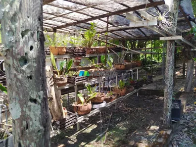 Fazenda/Sítio com 5 Quartos à venda, 6324m² no , Cachoeira da Prata