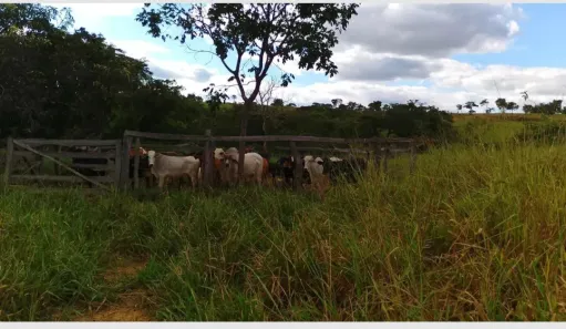 Fazenda/Sítio à venda, 385000m² no Palmital de Minas, Cabeceira Grande