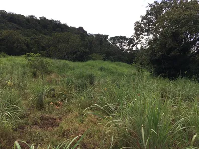 Fazenda/Sítio com 3 Quartos à venda, 43m² no Tupiracaba, Niquelândia