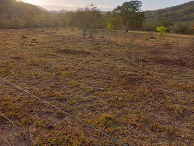 Fazenda/Sítio com 2 Quartos à venda, 80m² no , Padre Bernardo
