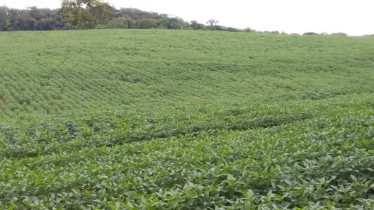 Fazenda/Sítio à venda, 5008300m² no Centro, Leopoldo de Bulhões